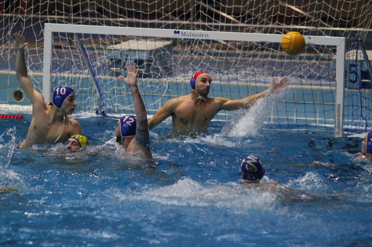 Serie B stagione 24/25 - PN Bergamo vs RN Bologna